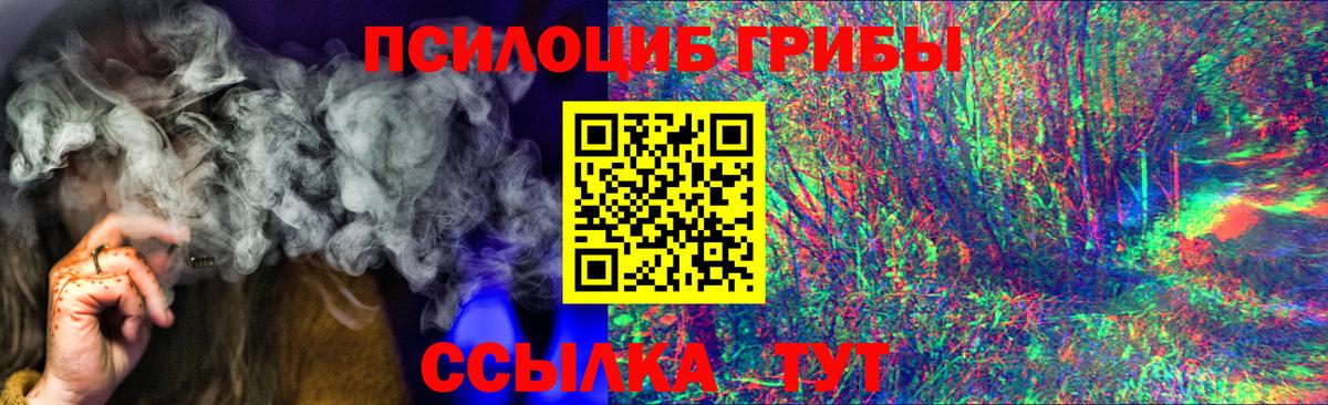 Галлюциногенные грибы GOLDEN TEACHER  Псилоцибиновые грибы мухоморы  Елизово  Вход с VPN 
